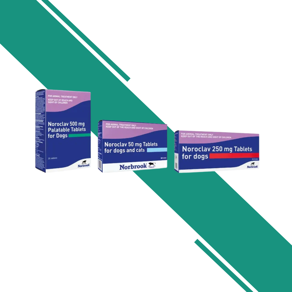 Noroclav Tablets for Dogs and Cats